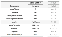 Rapport d'analyse à télécharger