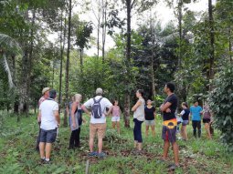 Visite de la plantation couturier